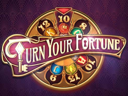 Turn Your Fortune game cover